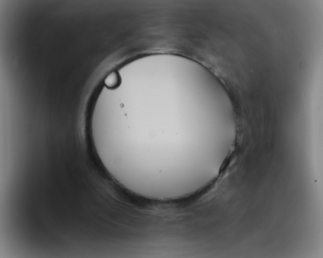 X0000094230296200711161915