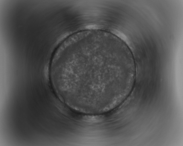 X0000094230297200711161915