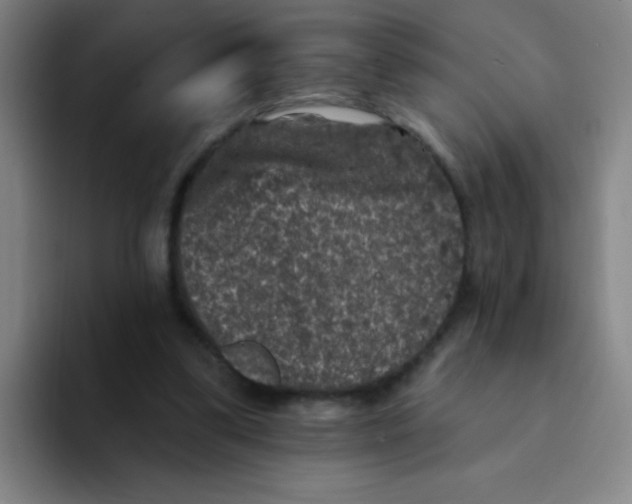X0000094230299200711161915