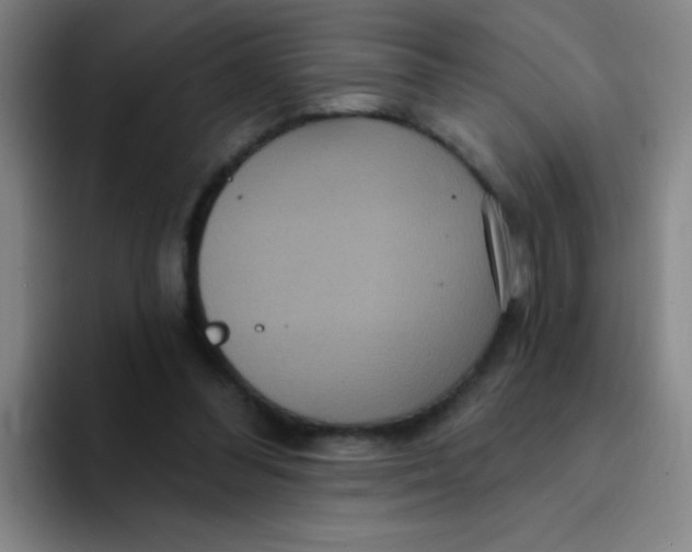 X0000094230300200711161915