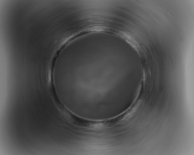 X0000094230301200711161915