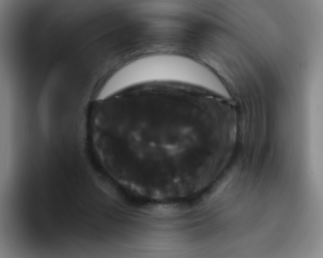 X0000094230303200711161915