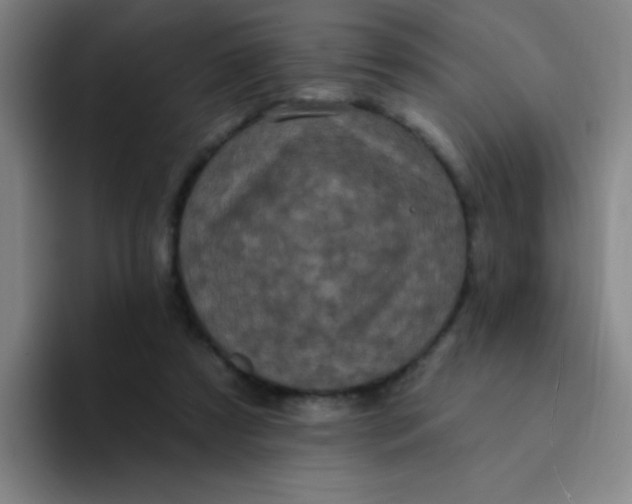 X0000094230305200711161915