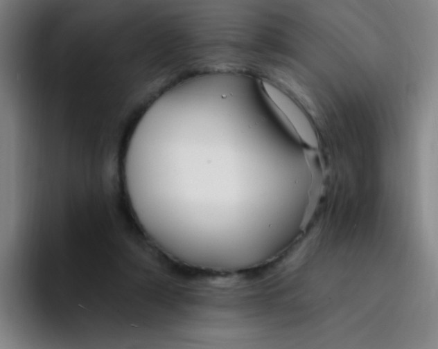 X0000094230306200711161915
