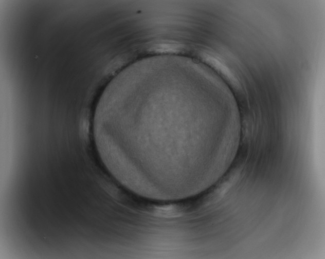 X0000094230309200711161914