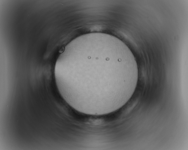 X0000094230311200711161914