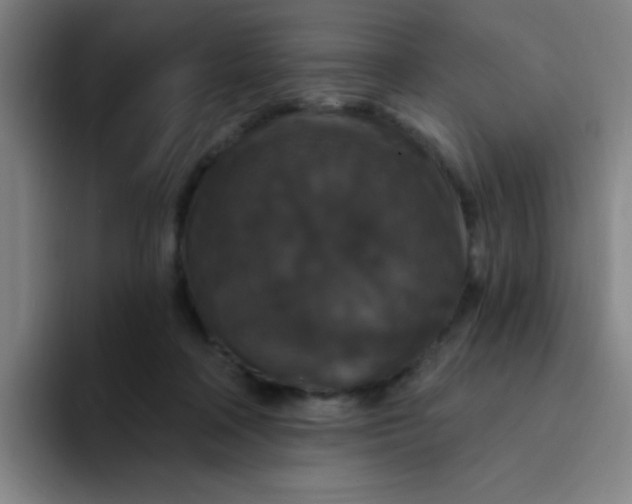 X0000094230314200711161914