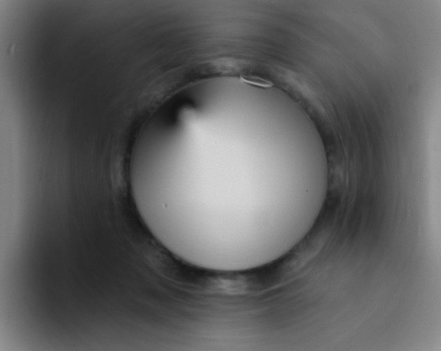 X0000094230317200711161914