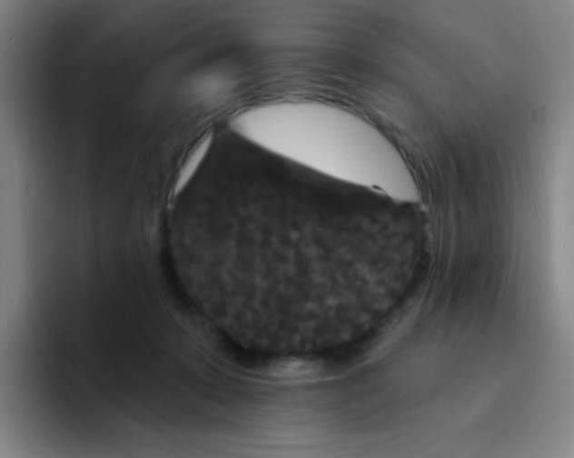 X0000094230319200711161914