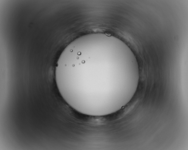 X0000094230321200711161914