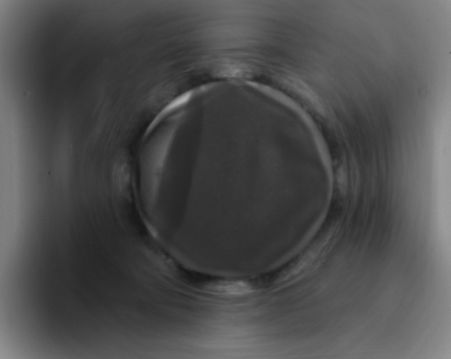 X0000094230322200711161914