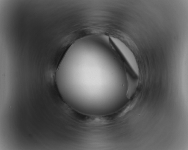 X0000094230329200711161914