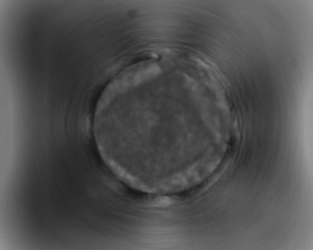 X0000094230330200711161914