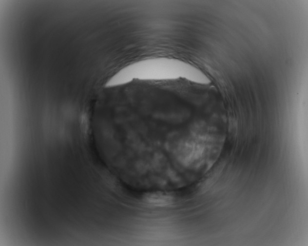X0000094230331200711161914