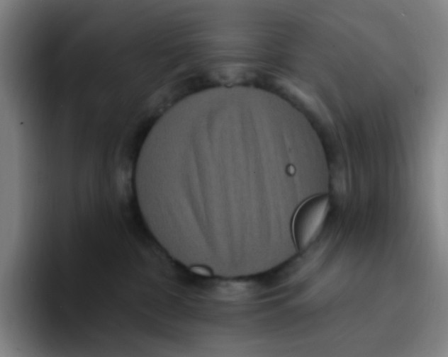 X0000094230332200711161914