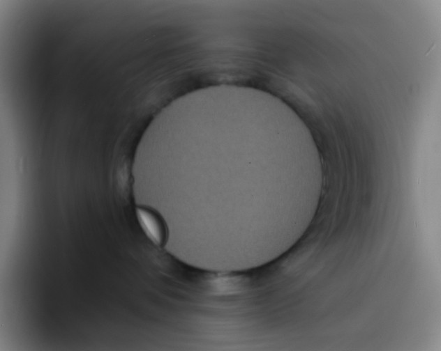 X0000094230336200711161914
