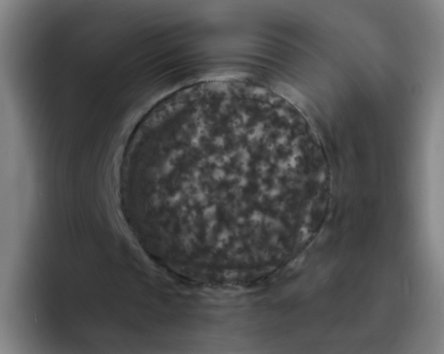 X0000094230337200711161913