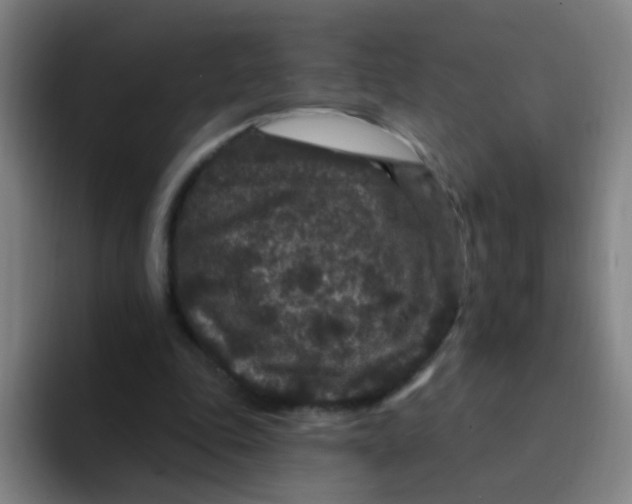 X0000094230343200711161914