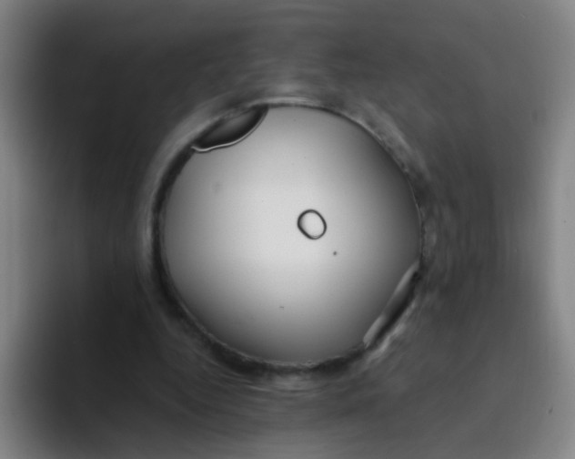 X0000094230344200711161914