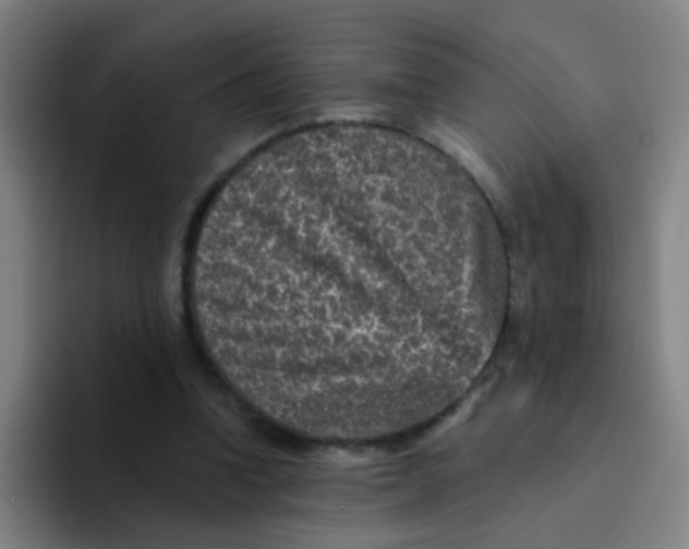 X0000094230346200711161914