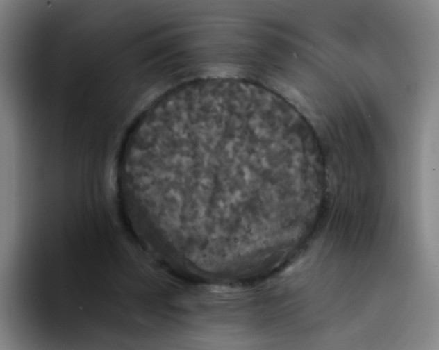X0000094230347200711161914