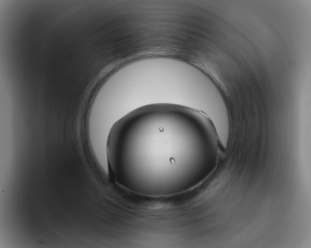 X0000094230348200711161914