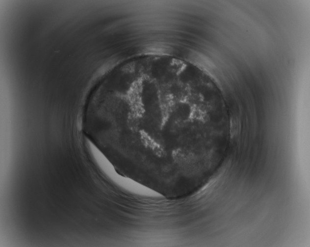 X0000094230349200711161914