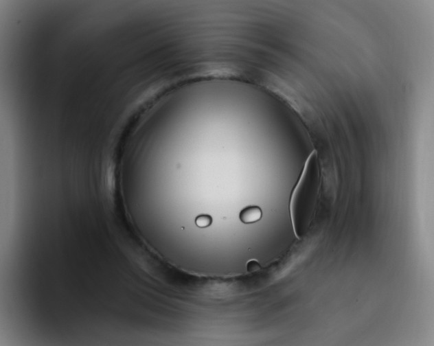 X0000094230350200711161914