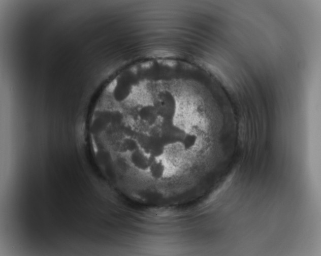 X0000094230351200711161914