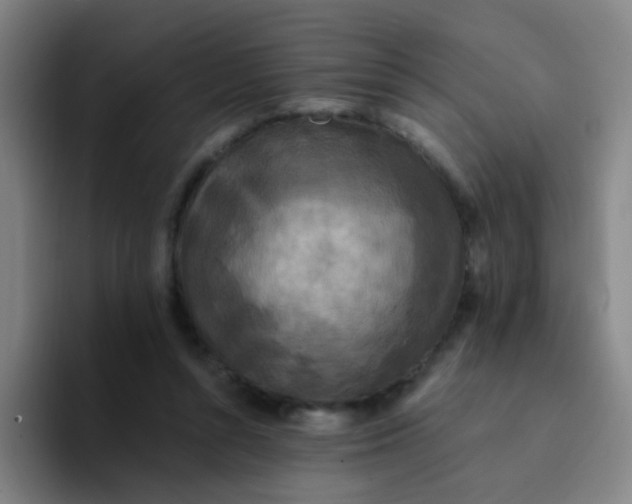 X0000094230352200711161914