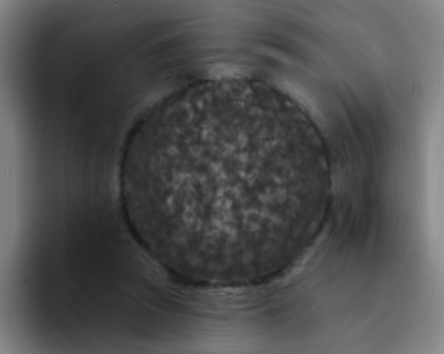 X0000094230353200711161914