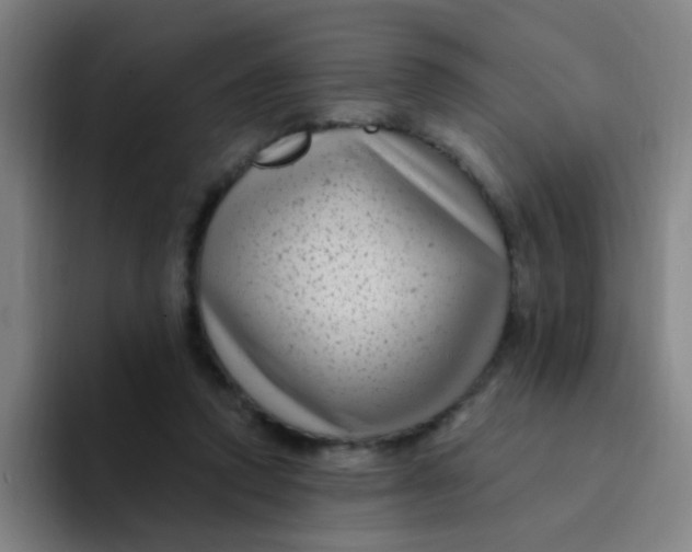 X0000094230354200711161914