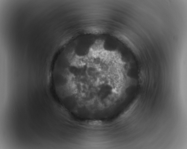 X0000094230355200711161914