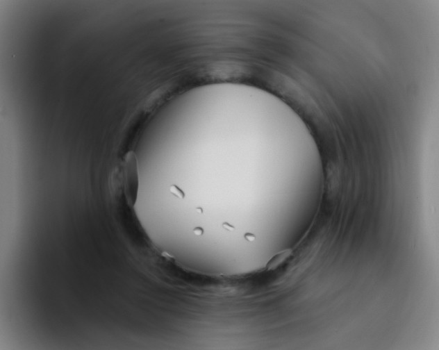 X0000094230356200711161914