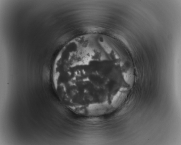 X0000094230357200711161914