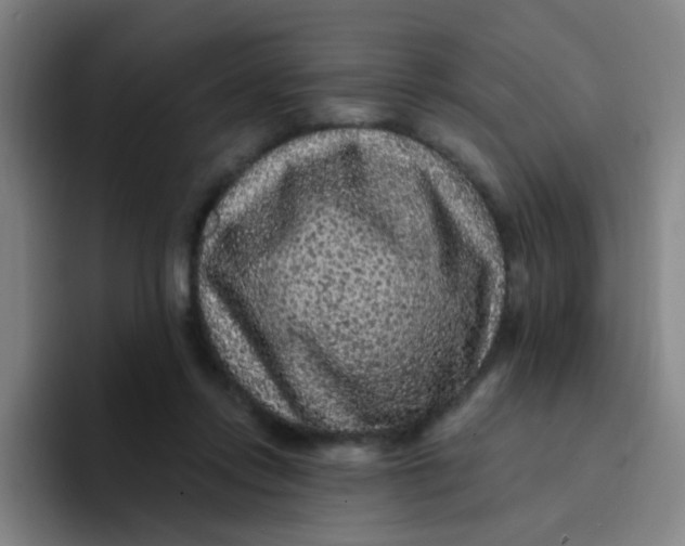 X0000094230358200711161914