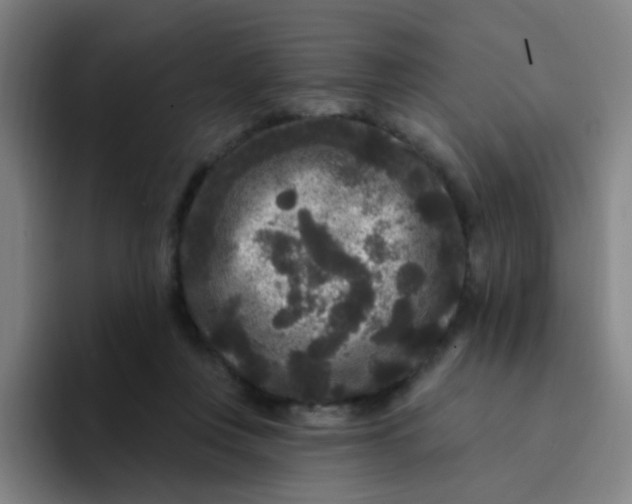 X0000094230359200711161914