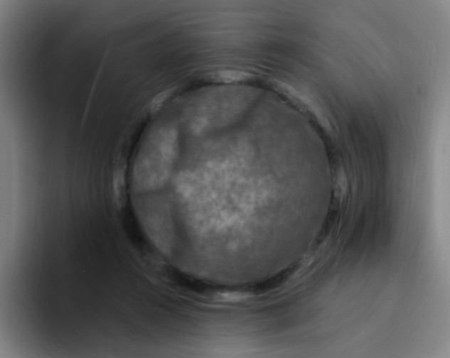 X0000094230360200711161914