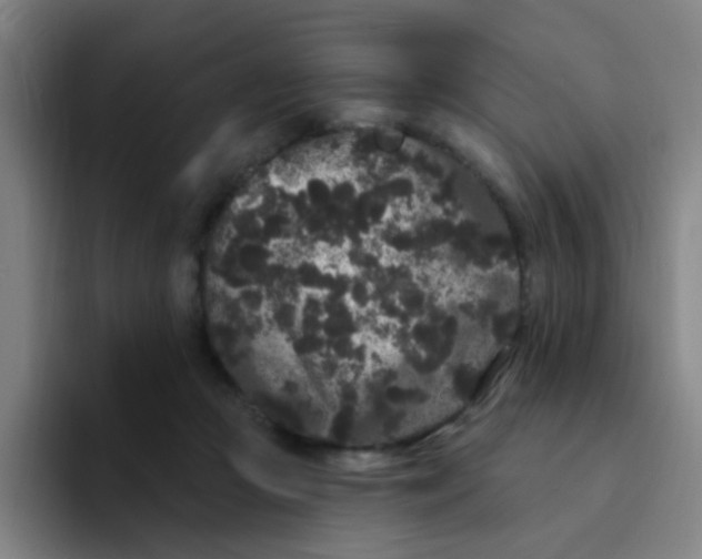 X0000094230361200711161914