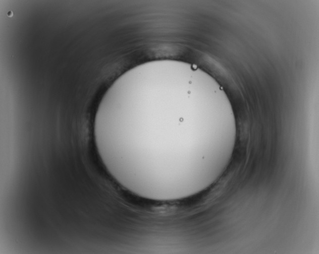 X0000094230362200711161914