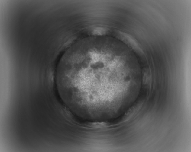 X0000094230363200711161914