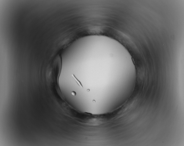 X0000094230364200711161914
