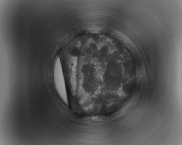 X0000094230365200711161914