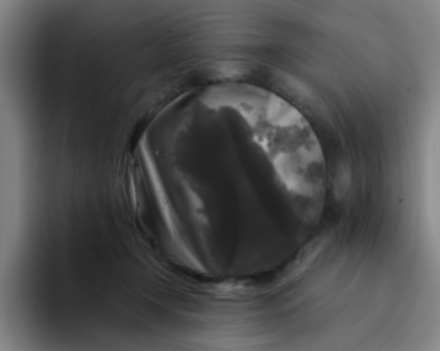 X0000094230366200711161914