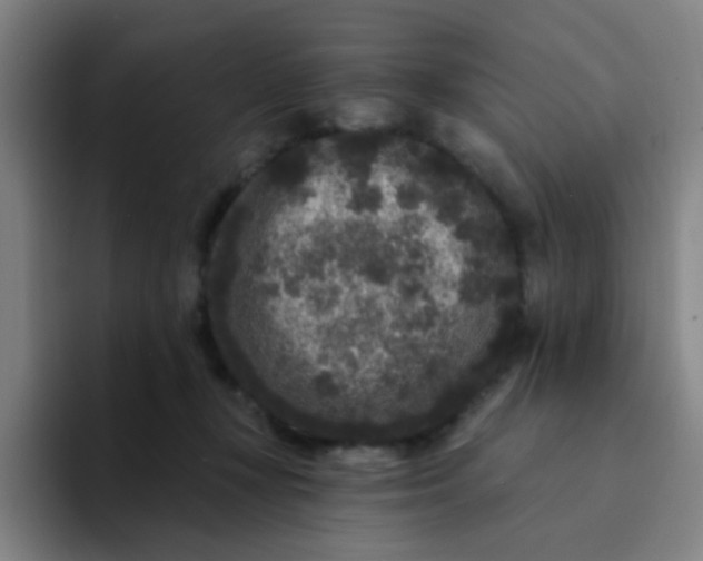 X0000094230367200711161914