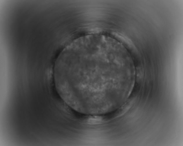 X0000094230369200711161914