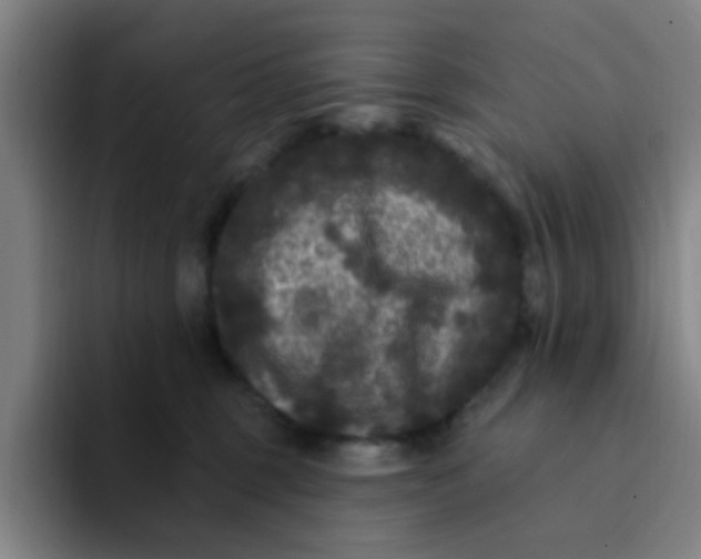 X0000094230375200711161914