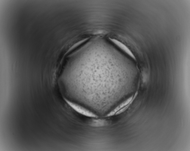 X0000094230376200711161914