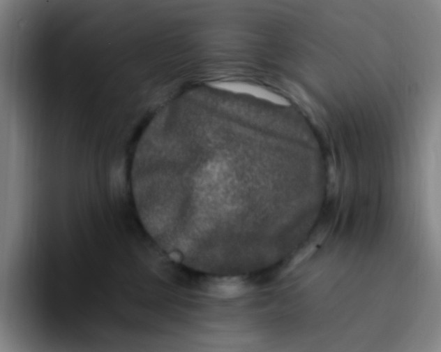 X0000094230377200711161914