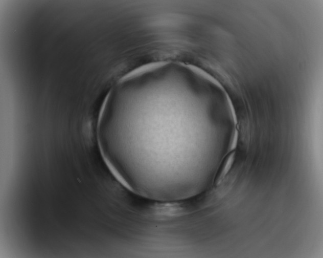X0000094230378200711161914